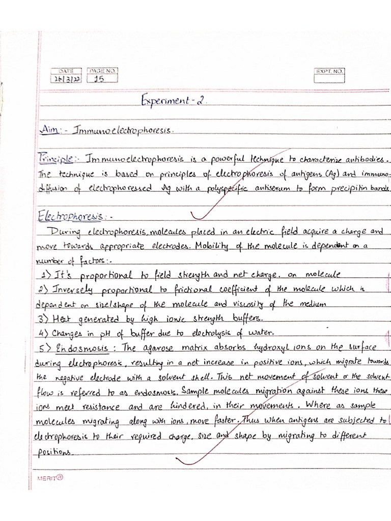 CC14 Exp3 Immunoelectrophoresis | PDF
