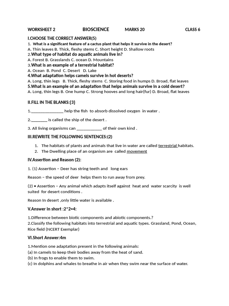 Class 6 Science Adaptations Worksheet | PDF