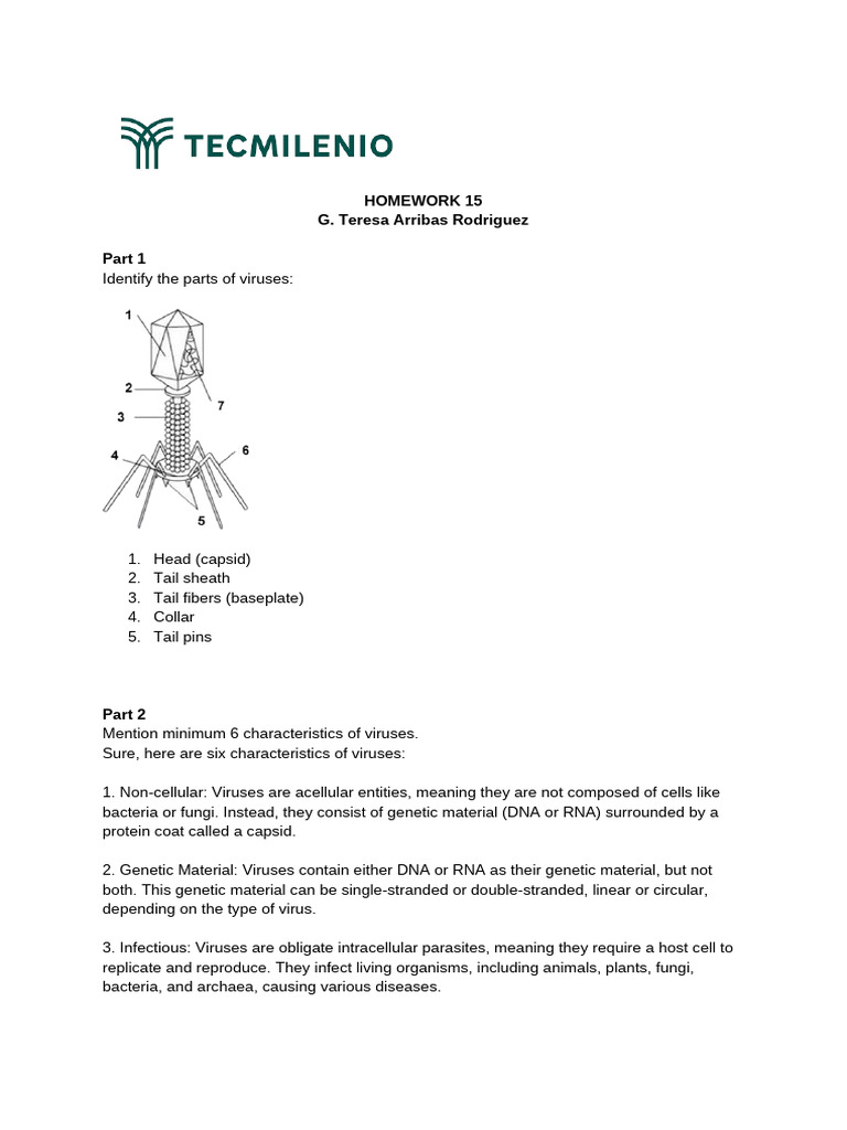 Understanding Virus Structure and Characteristics | PDF | Virus ...