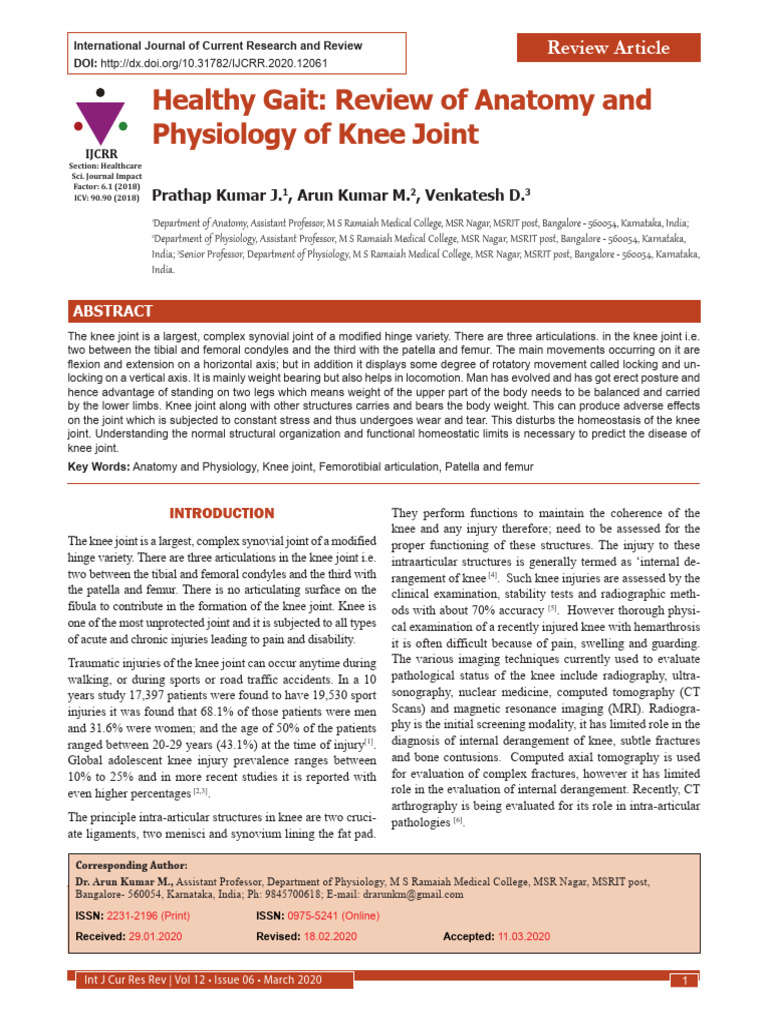 Anatomy and Physiology of the Knee Joint | PDF | Knee | Limbs (Anatomy)