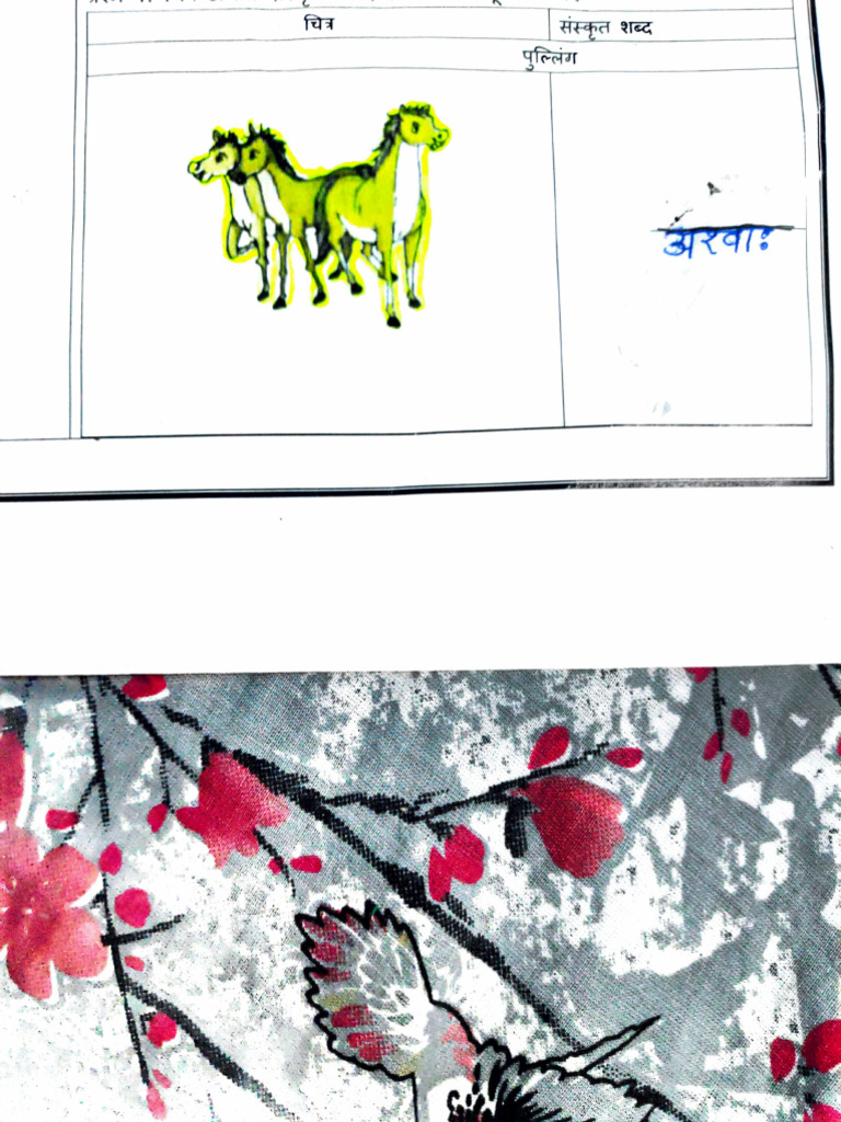 Aarna Nirwal Holiday Homework | PDF