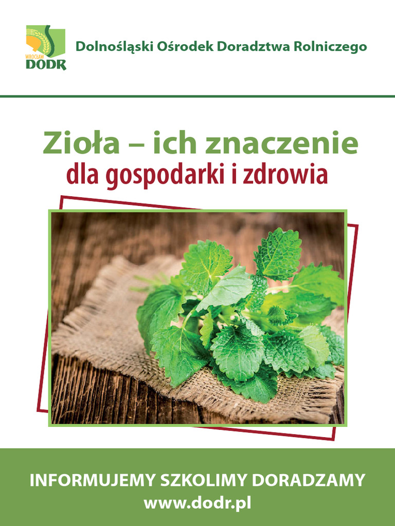 Ziola 2019 | PDF