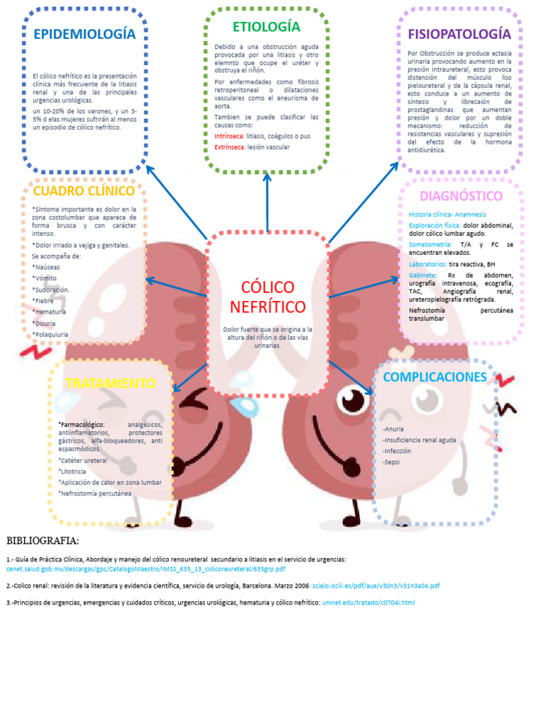 Colico Nefritico | PDF | Urología | Enfermedades y trastornos