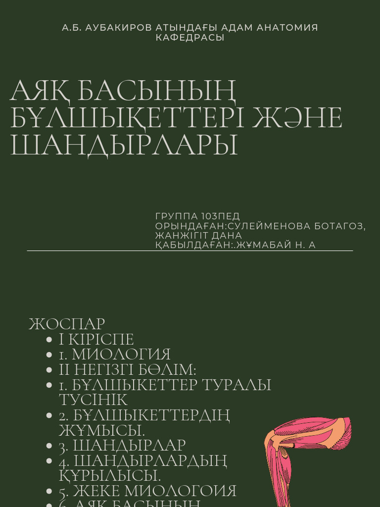 Шешен қыздарының секс