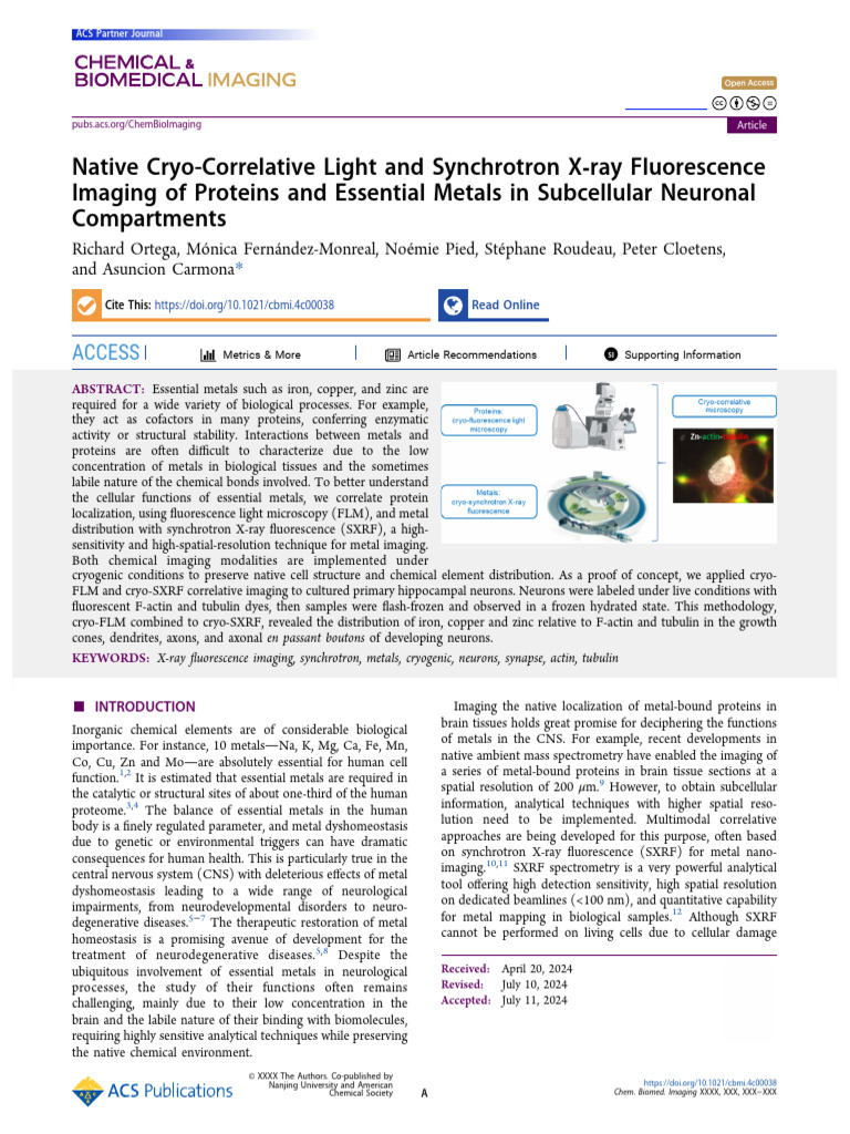 Native Cryo-Correlative Light and Synchrotron X Ray Fluorescence ...