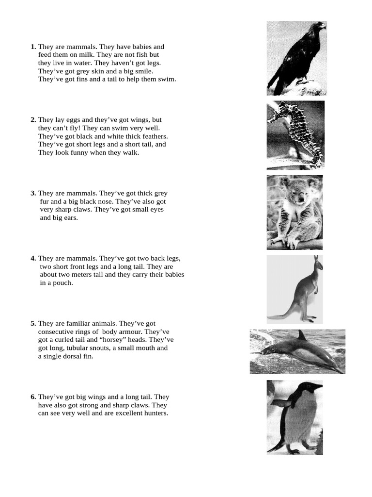 Unique Mammals and Their Traits | PDF