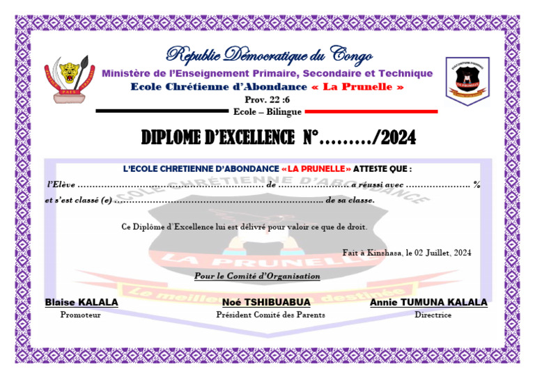 Diplôme d'Excellence 2024 RDC | PDF