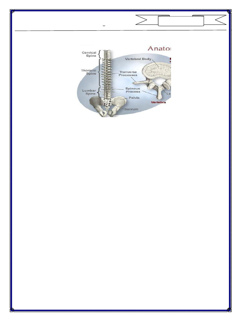 Autumn visual data 5