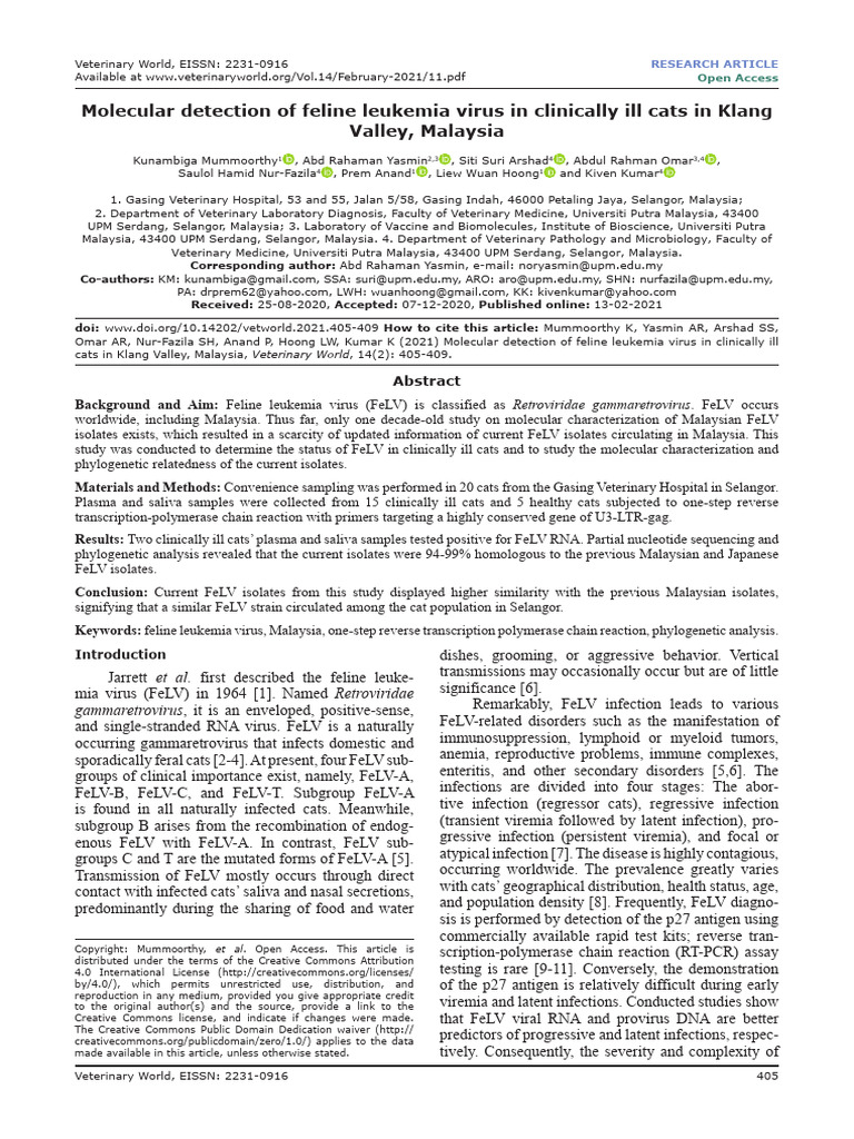 Molecular Detection of Feline Leukemia Virus in CL | PDF | Polymerase ...