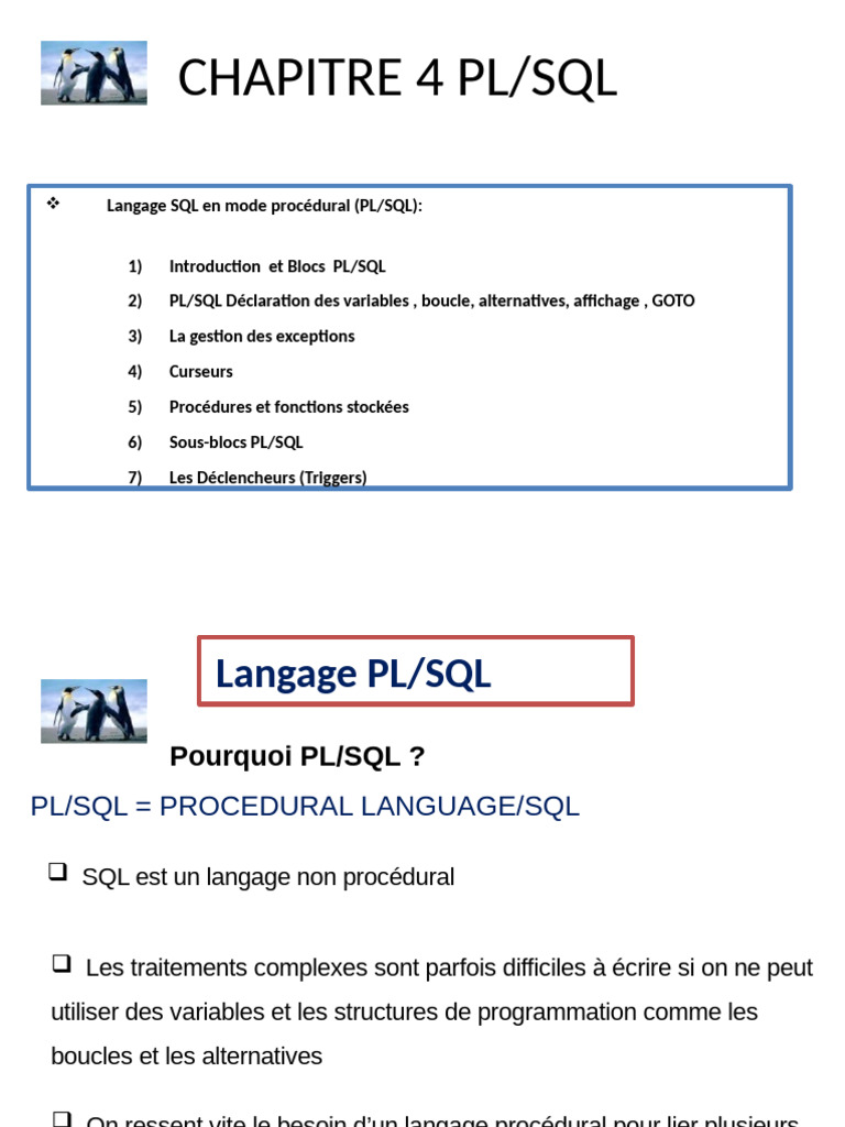 Introduction au PL/SQL et ses structures | PDF | PL/SQL | SQL