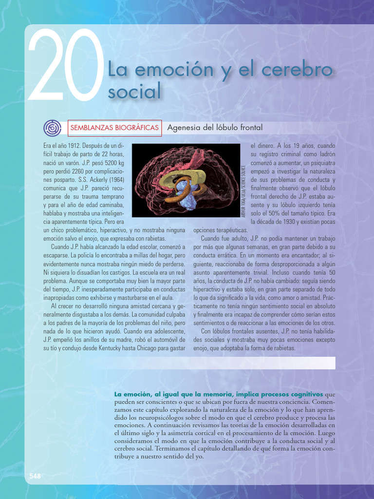 Emociones y el Cerebro Social: J.P. | PDF | Las emociones | Sistema límbico