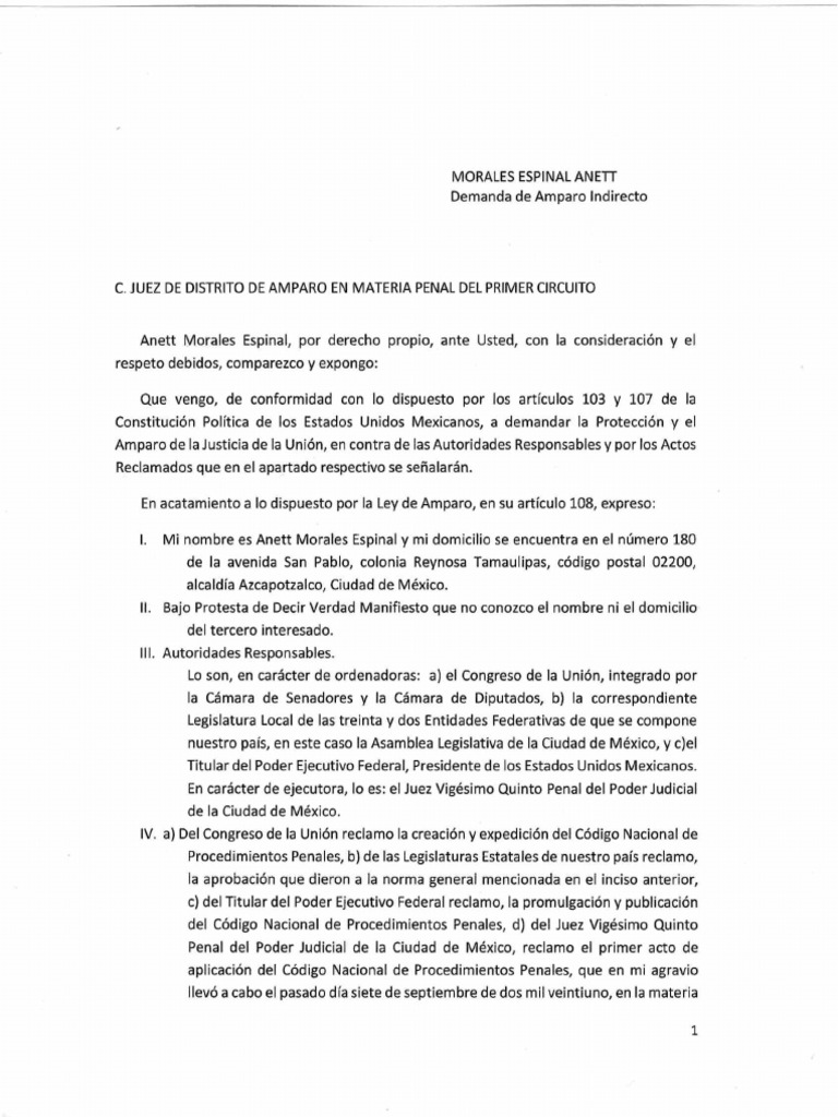Demanda de Amparo por Violación de Derechos | PDF | Debido al proceso ...