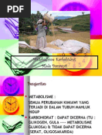 Download Metabolisme KH REVISI by Susilo Wirawan SN7854366 doc pdf