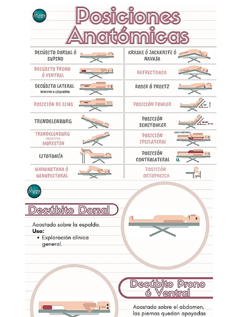Flash Card Posiciones Anatomicas | PDF
