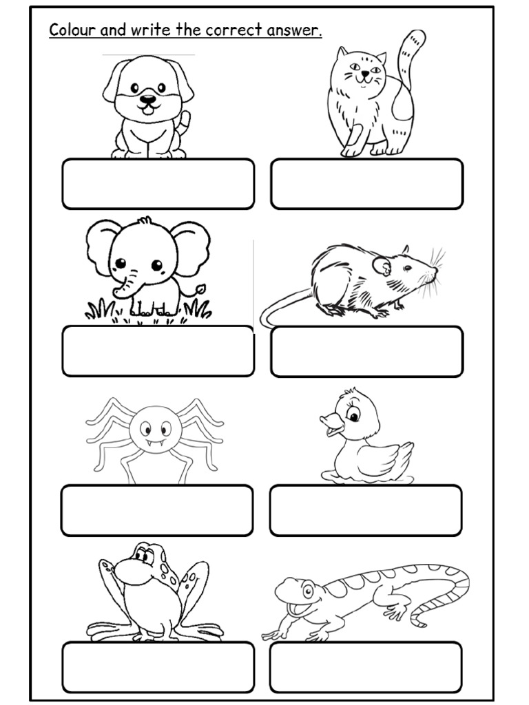 Label the animals year 1 pdf