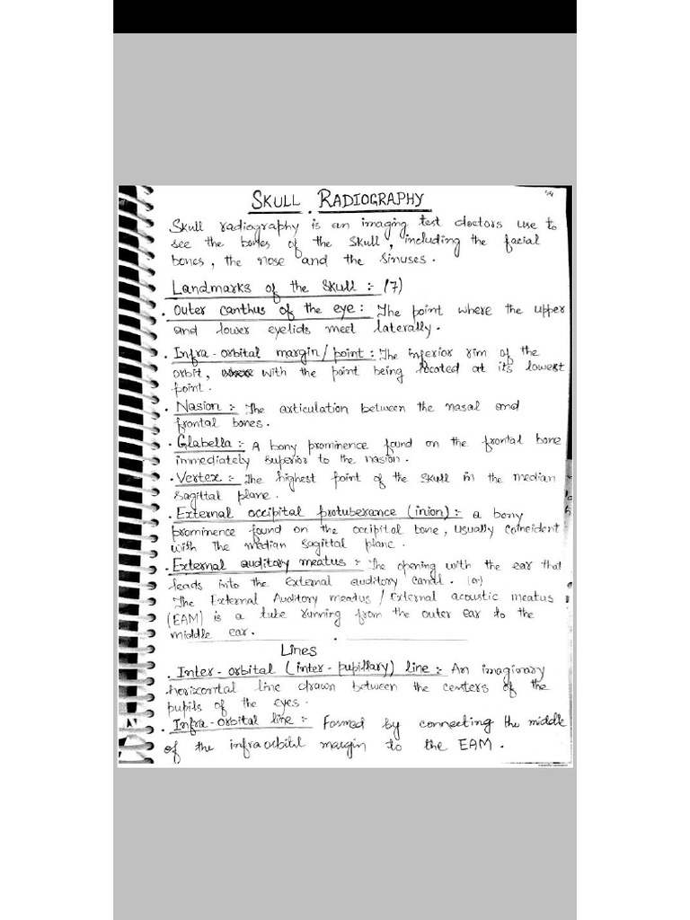 X Ray PDF | PDF