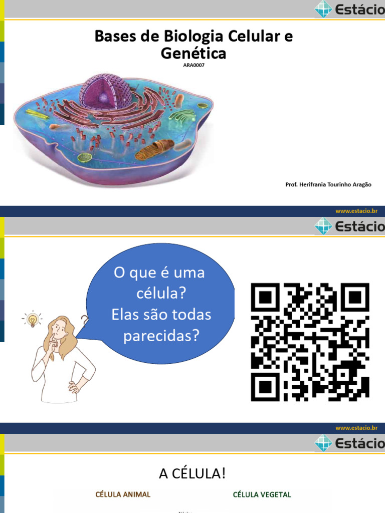 Estruturas e Tipos de Células Vivas | PDF | Célula (Biologia) | Organelo