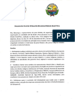 Documento Final Portugues