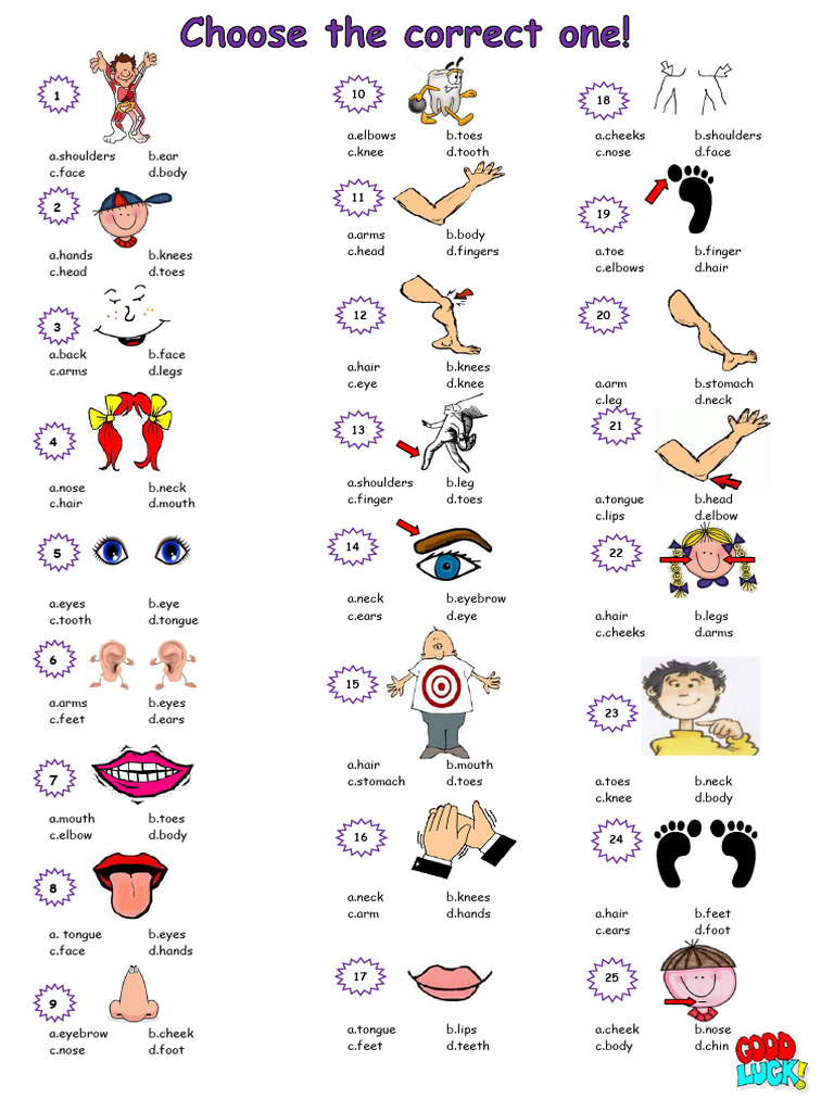 Body Parts Vocabulary List | PDF