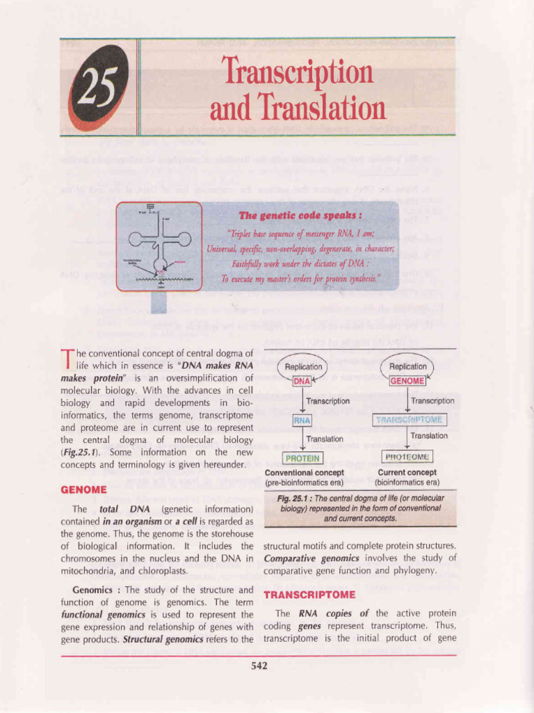 Transcription and Translation | PDF | Rna | Dna
