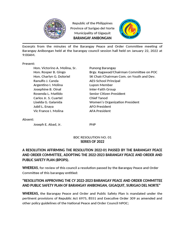 Barangay Anibongan BPOPS Plan 2022-2023 | PDF | Government