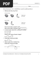 CAMBRIDGE PRIMARY MATHEMATICS STAGE 5 Unit 1 Test | PDF