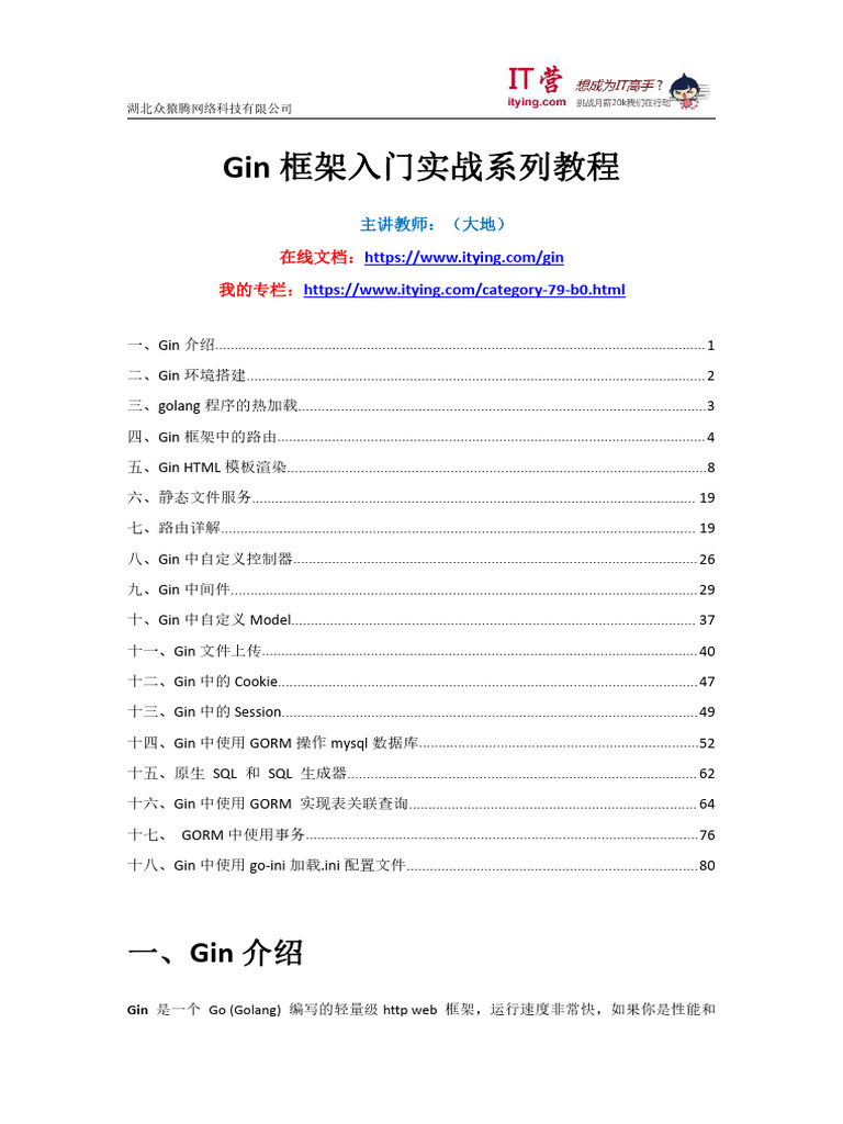 gin框架教程v4 0 | PDF