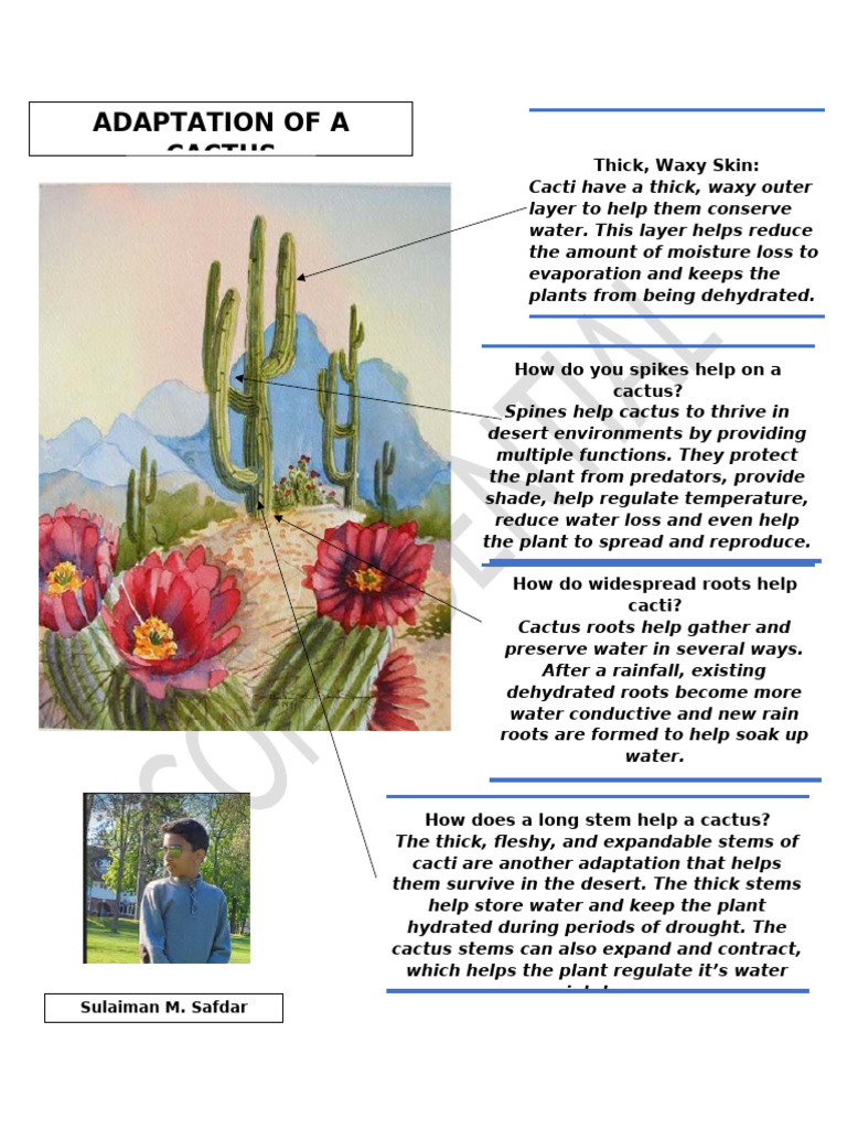 cactus bay Glass Cactus Bay Leaf main image 0