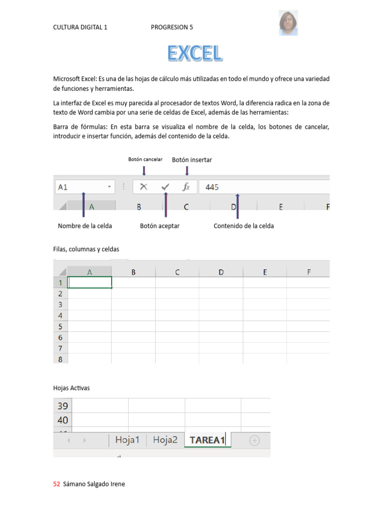 Guía Básica de Excel para Principiantes | PDF | Informática