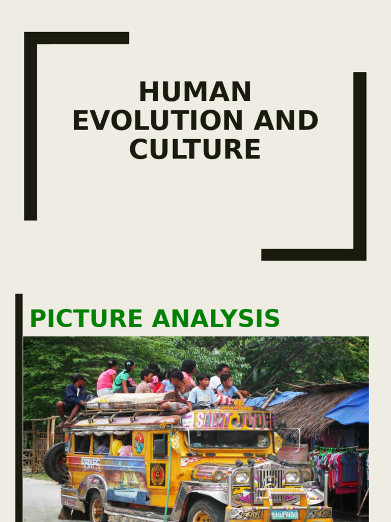 Humanevolution and Culture | PDF | Paleolithic | Stone Age