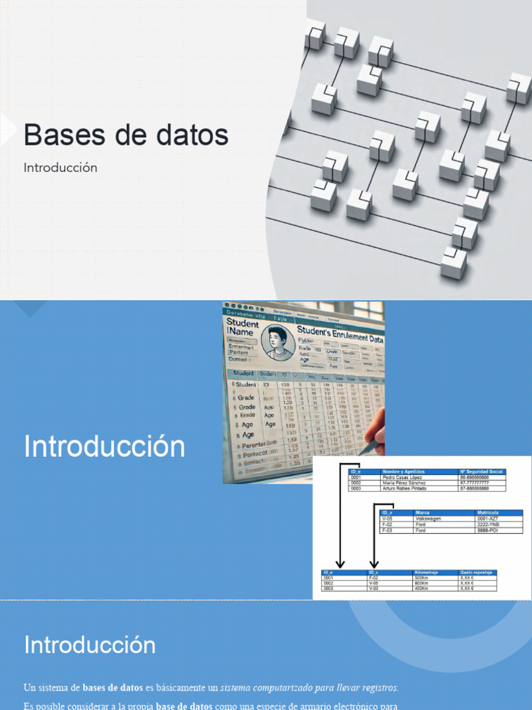 Introducción a Sistemas de Bases de Datos | PDF | Bases de datos | Base ...