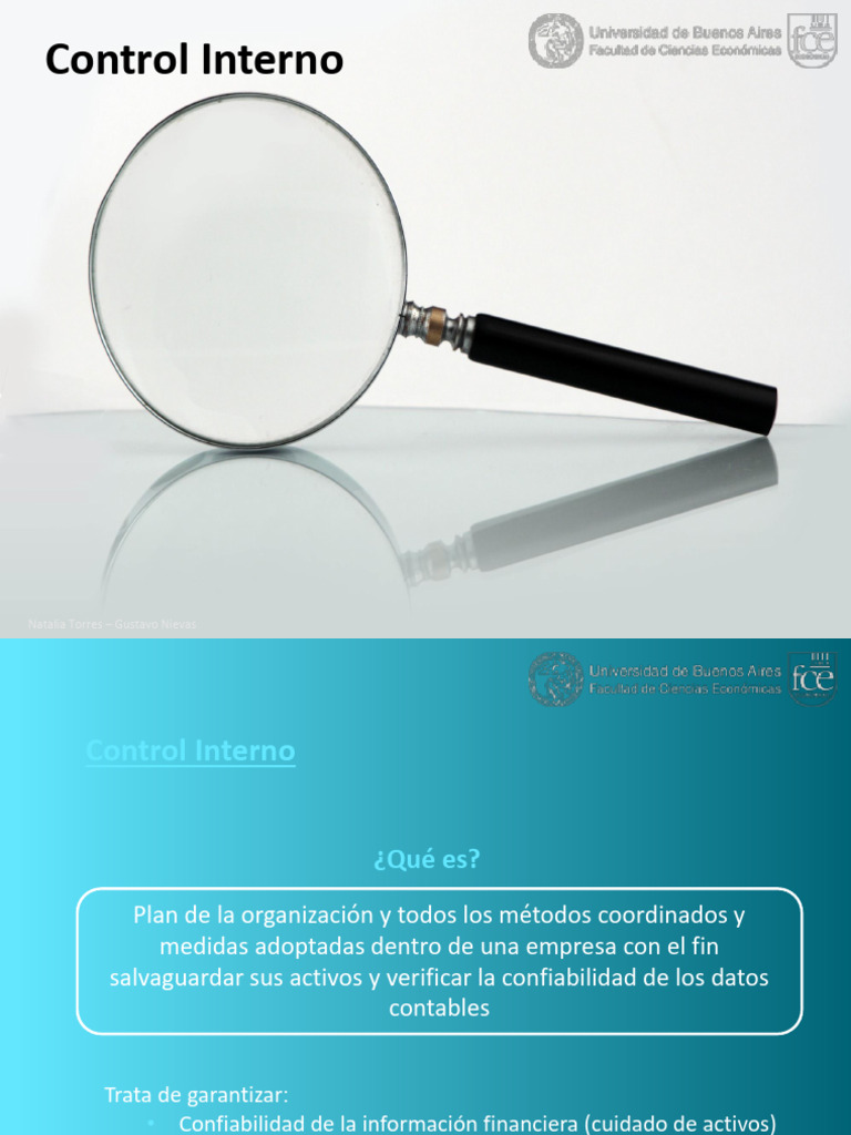Control Interno | PDF | Ingeniería de confiabilidad | Contabilidad