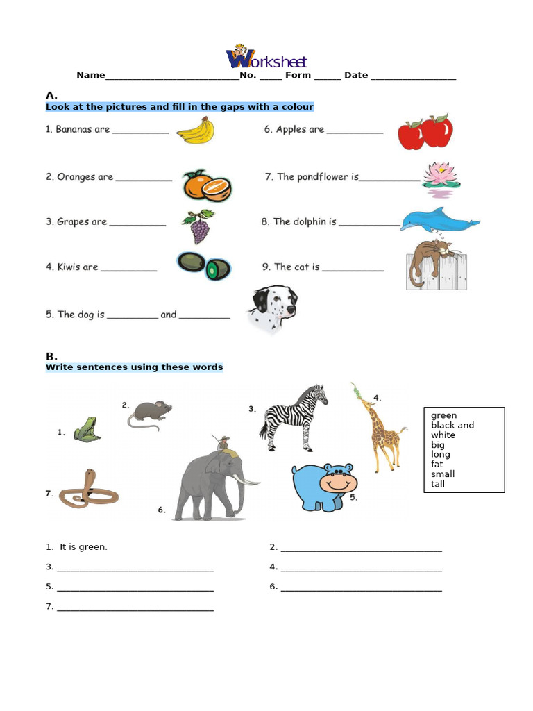Color and Sentence Practice Worksheet | PDF | Business