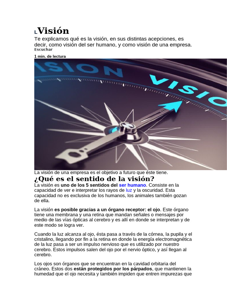 Vision | PDF | Percepción visual | Ojo