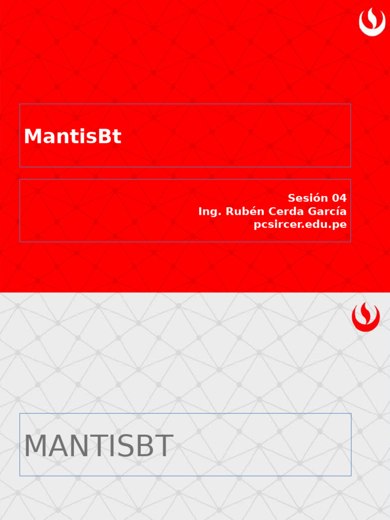 Guía de Uso de Mantis Bug Tracker | PDF | Software de la aplicacion ...