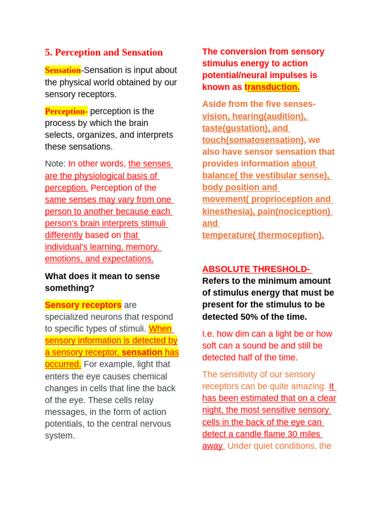 Brain Processes in Sensation and Perception | PDF | Senses | Hearing