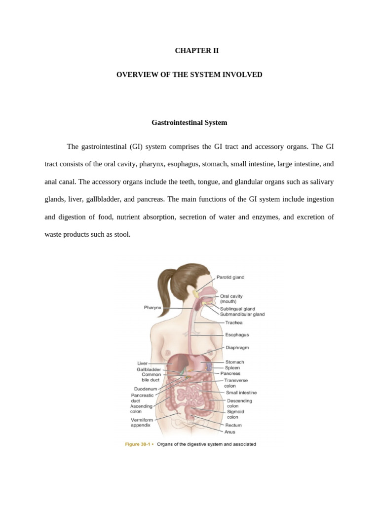 Overview of System Involved | PDF | Stomach | Gastrointestinal Tract