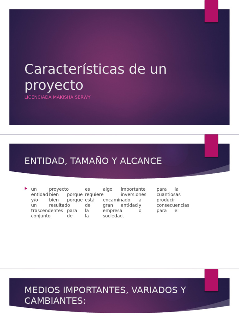 Características Clave de un Proyecto | PDF | Business | Economias
