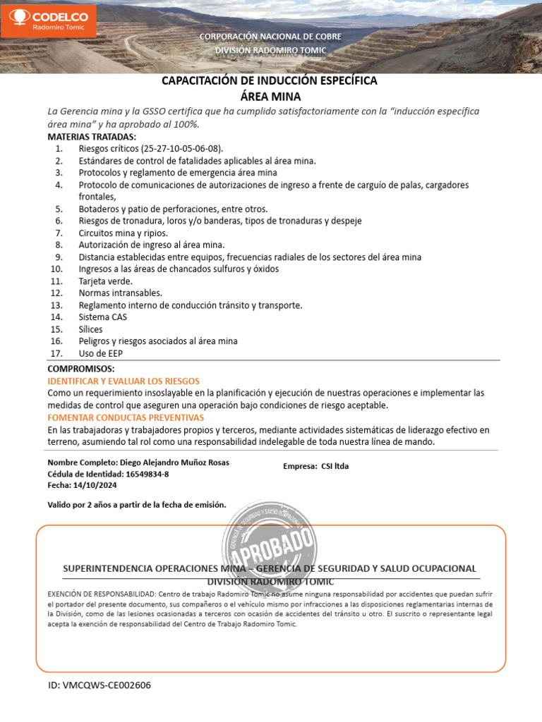 Inducción Mina | PDF