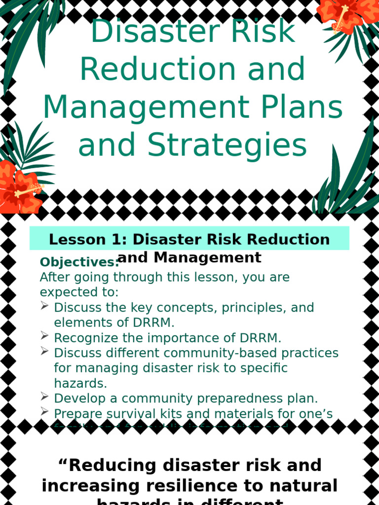 Key Principles of DRRM Strategies | PDF | Disaster Risk Reduction ...