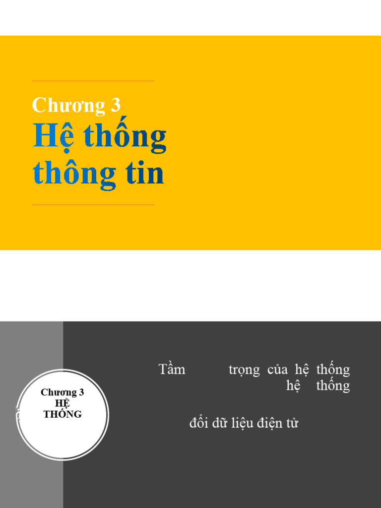 Chương 3 - He Thong Thong Tin | PDF