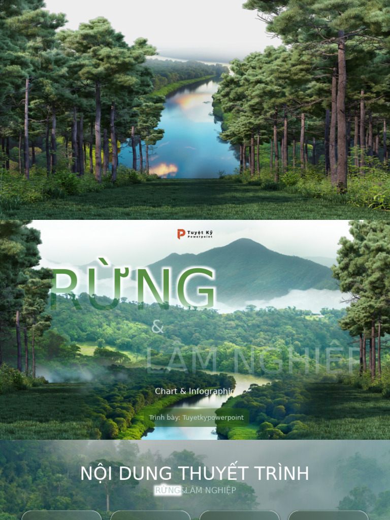 Trình Bày: Tuyetkypowerpoint | PDF