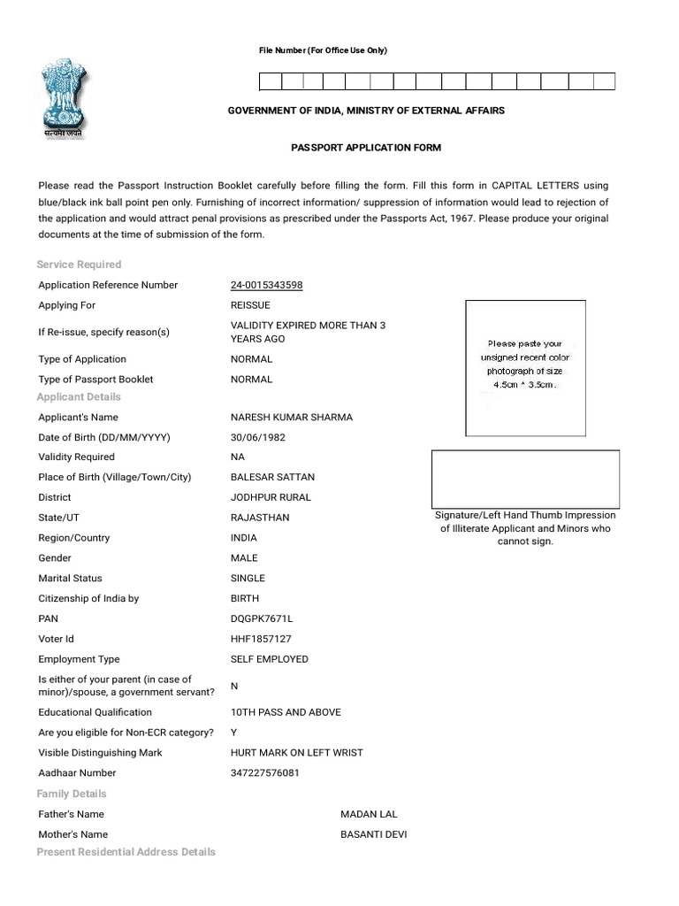 View print submitted form pdf passport government and personhood