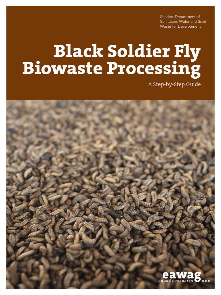 Black Soldier Fly Biowaste Guide | PDF | Pupa | Waste
