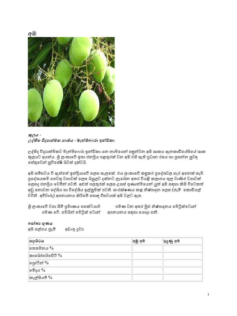 (Mango) | PDF