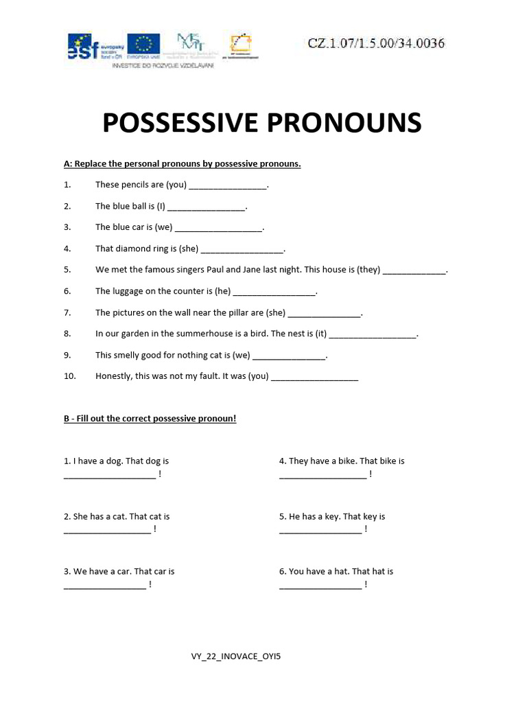 Possessive Pronouns Exercises 10 | PDF