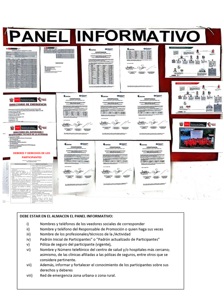 EJEMPLO de panel informativo 2024 | PDF