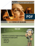 Sense of Hearing