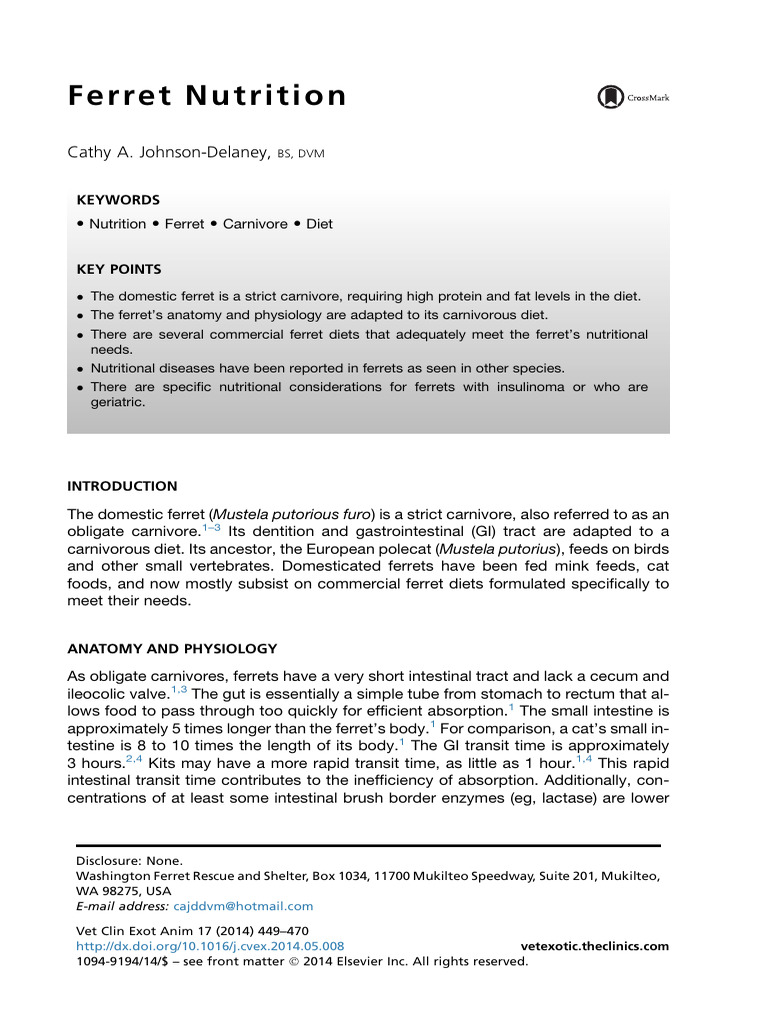 Ferrets Nutrition | PDF | Diet & Nutrition | Dietary Fiber