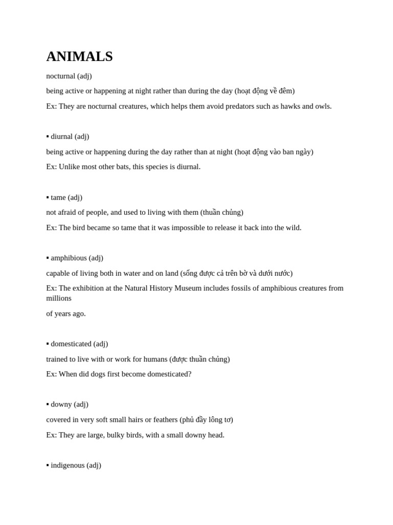 Animals | PDF | Predation | Birds